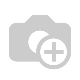 Car Rental - Business Trip